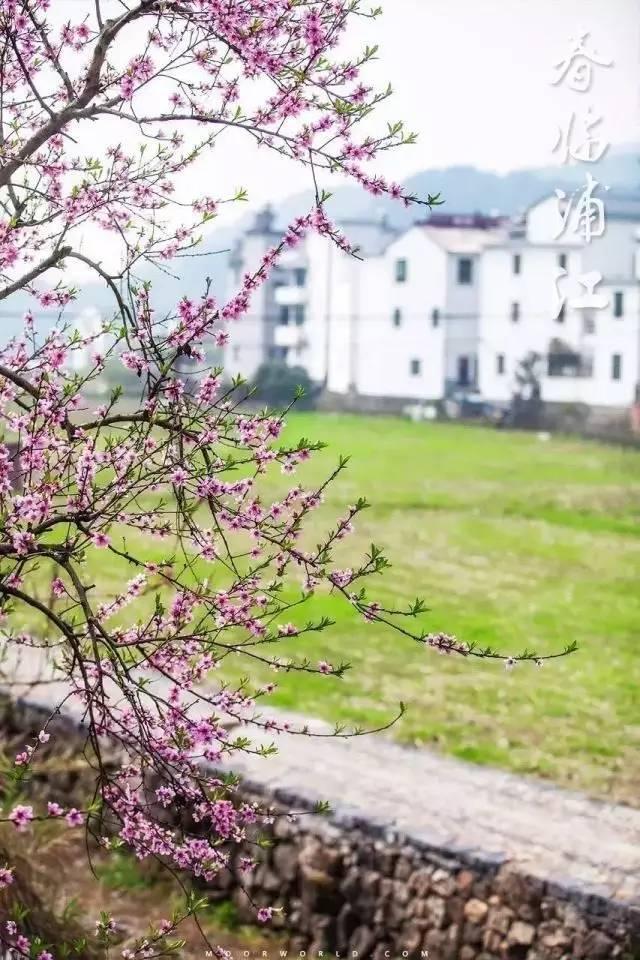 浙江最美的古村，全在浦江～