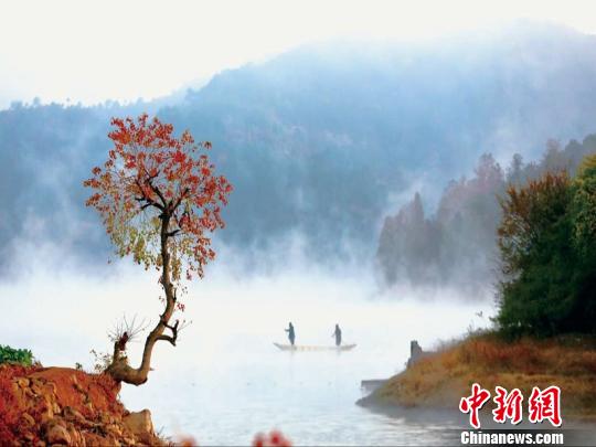 浙江浦江鄉(xiāng)村逆襲記：精耕細作煥新顏 青山綠水入畫來。浦江縣農(nóng)辦提供