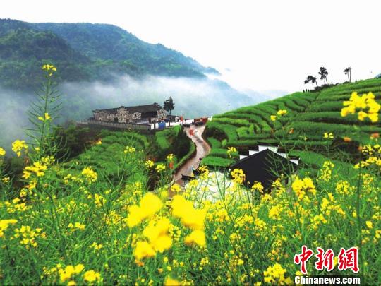 浙江浦江鄉(xiāng)村逆襲記：精耕細作煥新顏 青山綠水入畫來。浦江縣農(nóng)辦提供